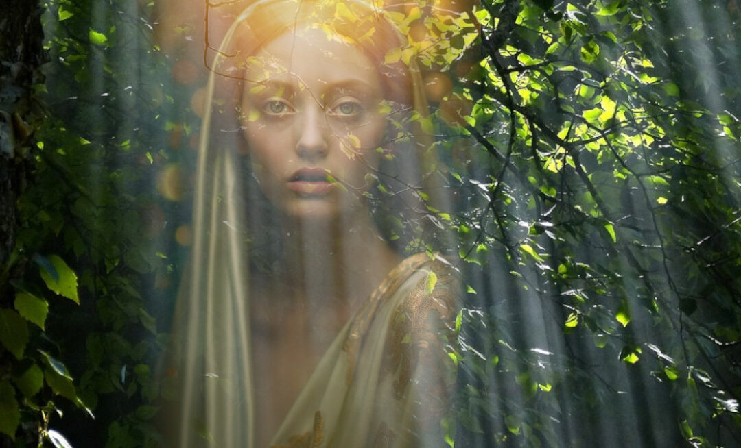 La Vierge Marie apparait dans la forêt de Brocéliande